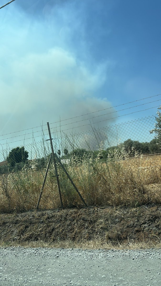 sergiogorge's tweet photo. Así va el incendio a la altura de Gibraleón @Meteohuelva https://t.co/UTCGccryCD