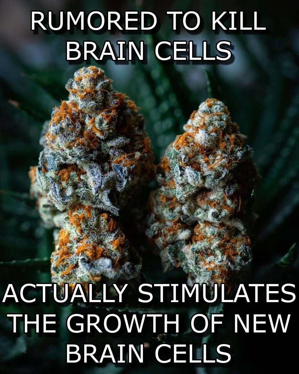 medicalgrower42's tweet photo. Exactly! https://t.co/qAF22zkIYl