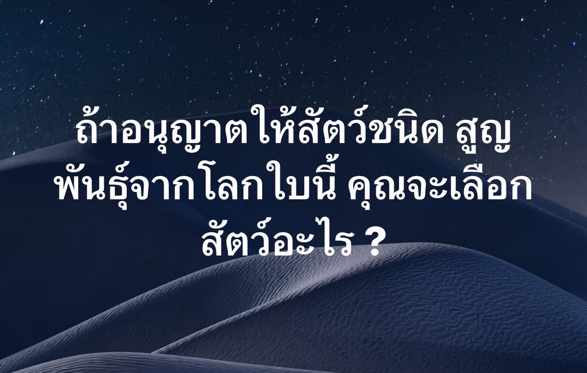 ช่างแม่ง🐰🏳️🌈 tweet media