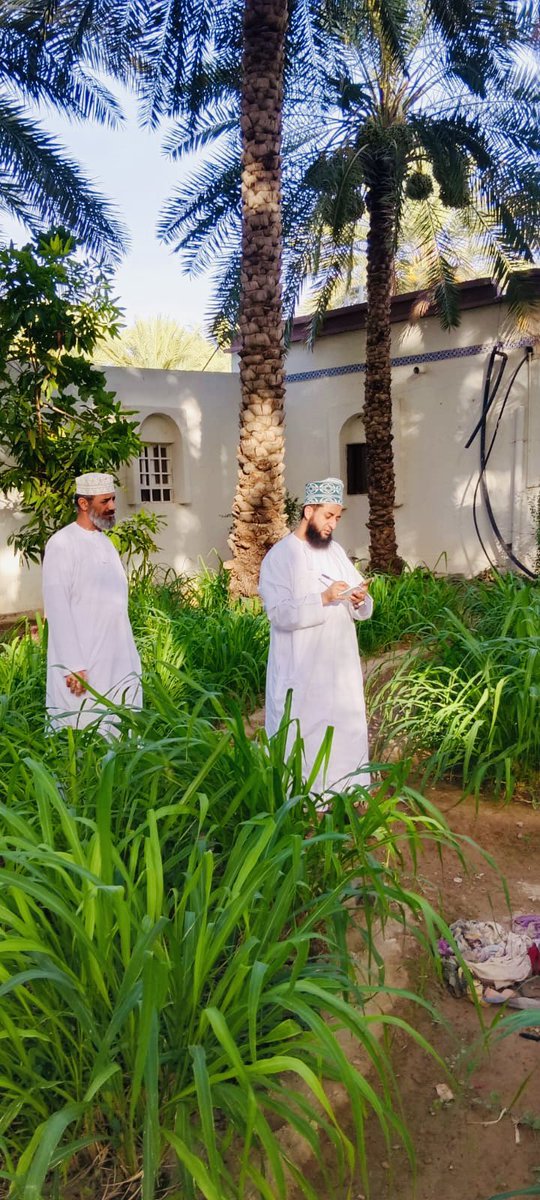 لجنة الزكاة بولاية ينقل tweet media