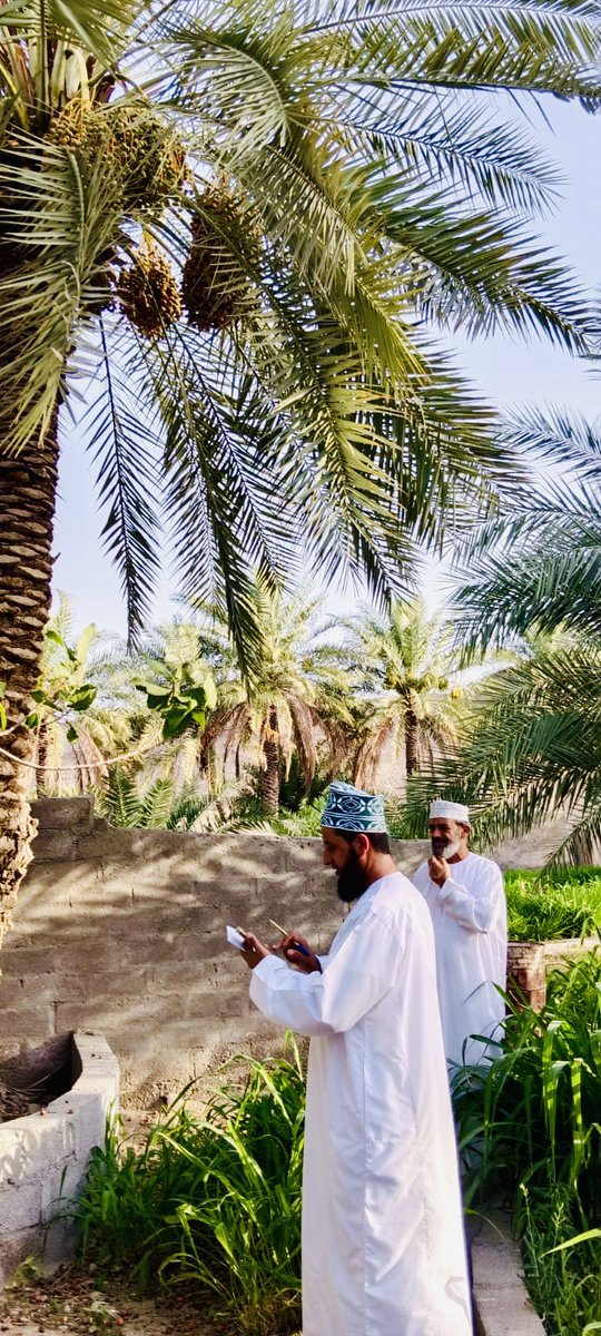 لجنة الزكاة بولاية ينقل tweet media