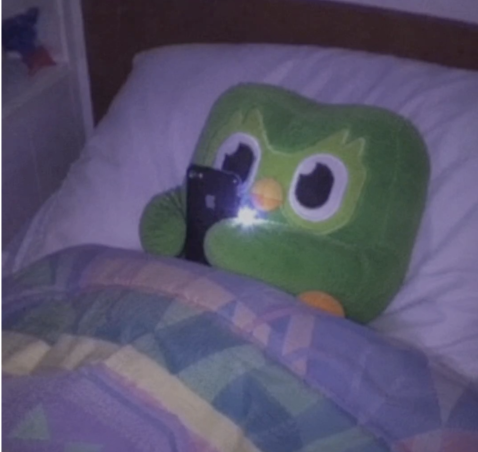 Duolingo_Japan's tweet photo. 全員に好かれるのは難しいと思ってる https://t.co/e8OYLq9NJ8