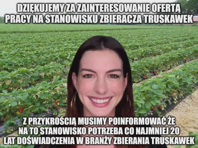 kod_lyoko's tweet photo. nie ma w tym kraju dla mnie pracy https://t.co/eQA0RZtSii