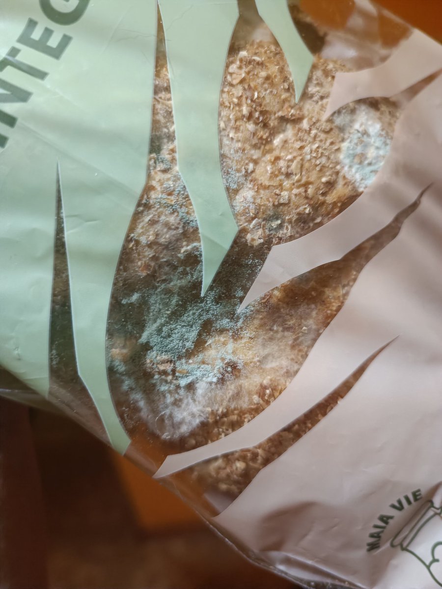 lovingmui's tweet photo. I didn't even get to unpack this bread and there's a whole civilization already https://t.co/cSzClgB2M2
