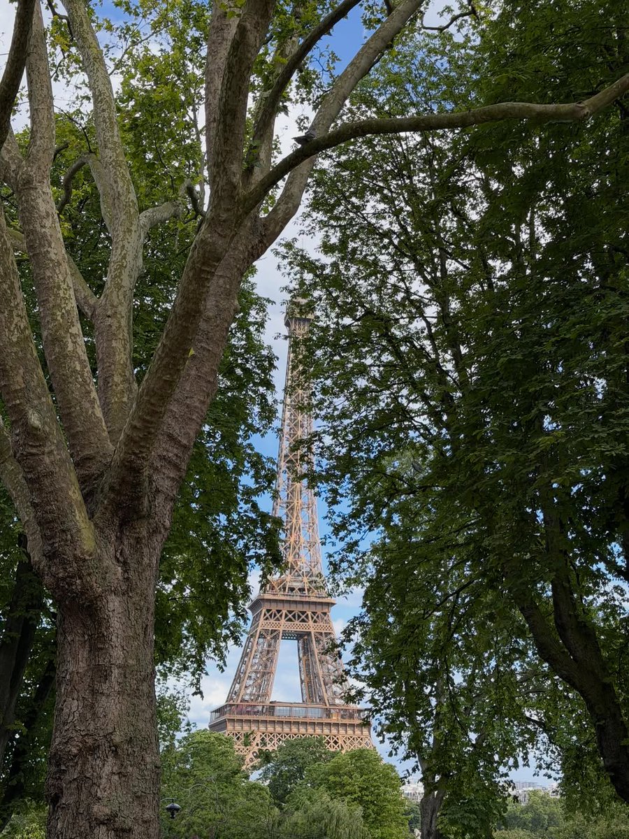 xthetzp's tweet photo. Bonjour France. https://t.co/smcjyfEIYG