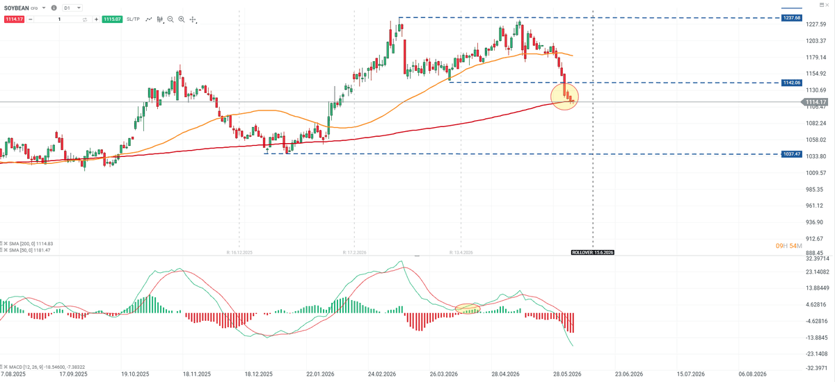 XTBLatam's tweet photo. Mercados a Observar Hoy: 🚨
#BITCOIN
#CAFÉ
#SOYA
Es bueno que tengan ojo a estos mercados ya sea por sus oportunidades como riesgos.
#inversiones #xtb #xtblatam #dolar #criptomonedas https://t.co/65wJN7X1iV