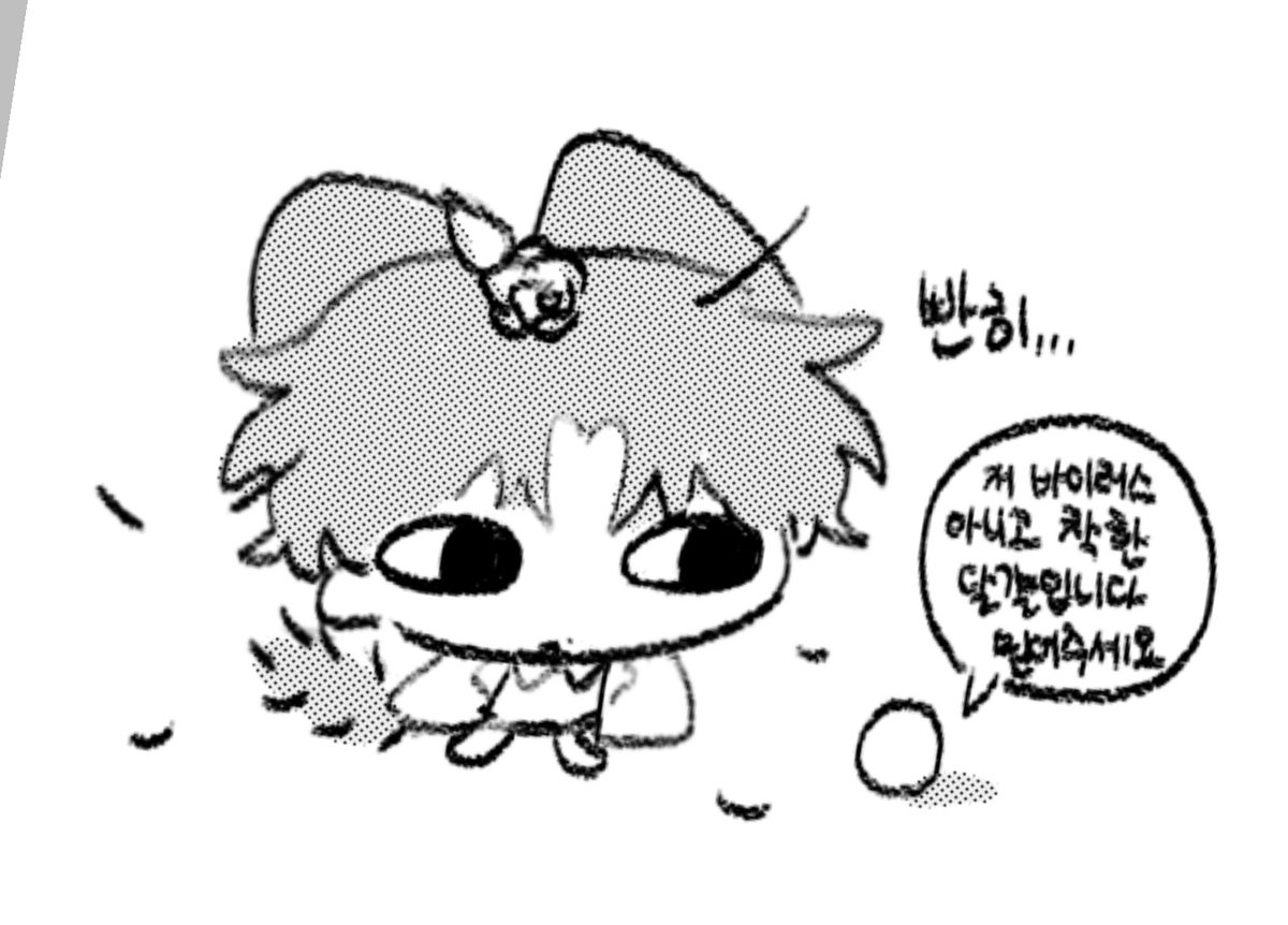 mit_bb_t's tweet photo. 달걀을 의심하는 고양이 https://t.co/zEvNNj212V