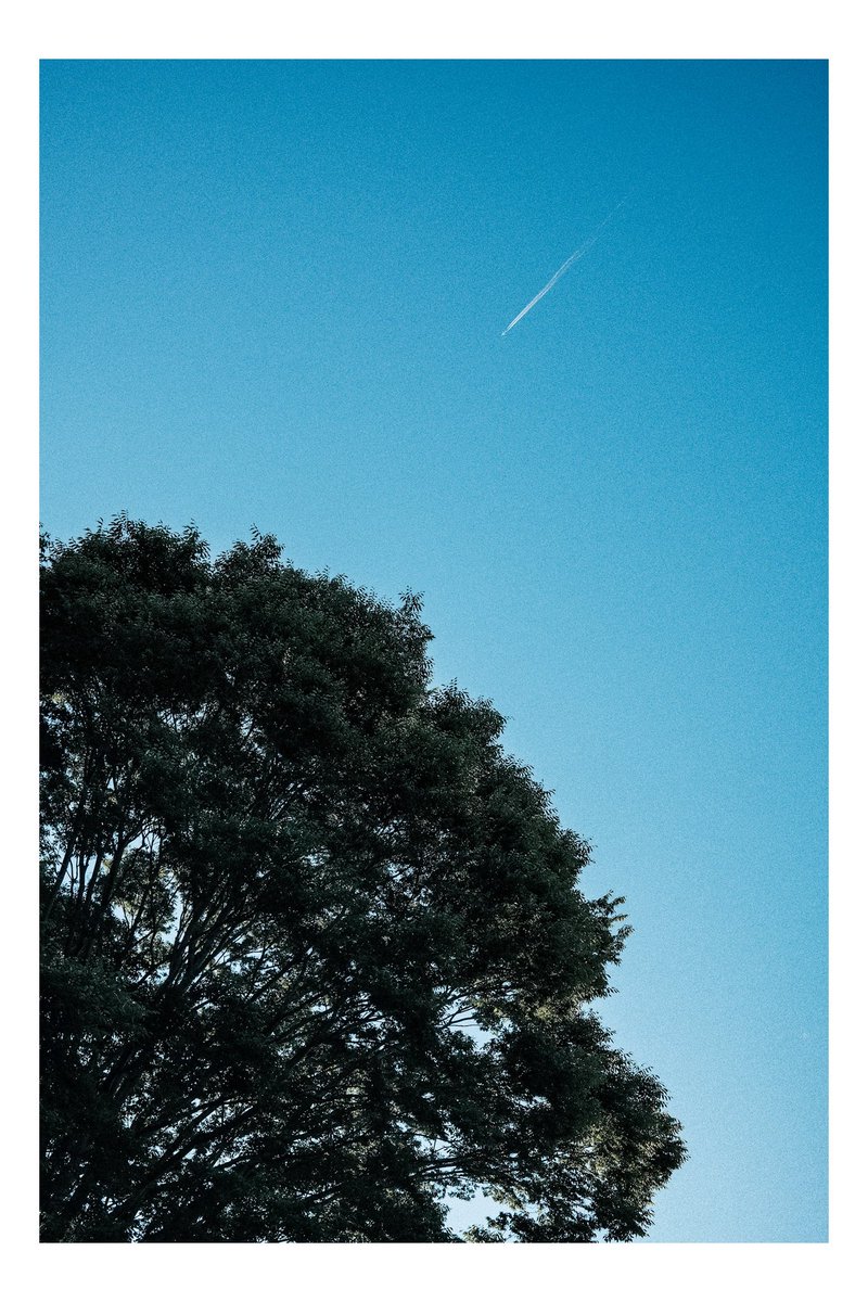 alpha7_1189's tweet photo. ひこうき雲 https://t.co/zZrDFw7ClS