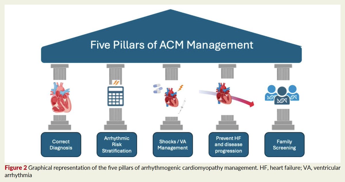 gonzaeperez's tweet photo. CARDIOPATÍA ARRITMOGÉNICA DEL VENTRÍCULO DERECHO
Revisión @ESC_Journals 👌
🔴Miocardiopatía hereditaria
🔴Escara ventricular y reemplazo graso
🔴Enfermedad multifascética
🔴Transición del enfoque centrado en el fenotipo ⏩genotipo
https://t.co/76MFyCjj2X https://t.co/NMvEtmKxMf