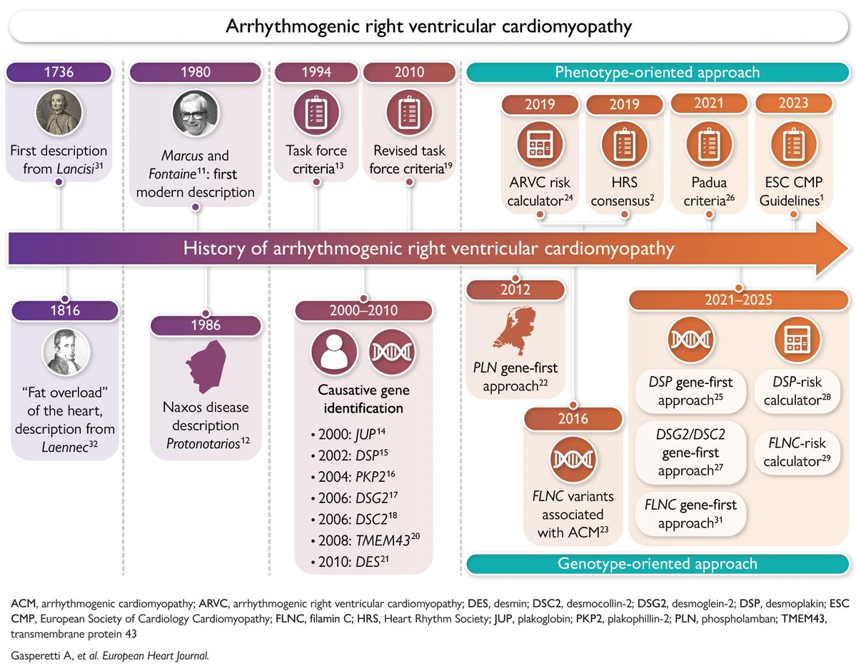 gonzaeperez's tweet photo. CARDIOPATÍA ARRITMOGÉNICA DEL VENTRÍCULO DERECHO
Revisión @ESC_Journals 👌
🔴Miocardiopatía hereditaria
🔴Escara ventricular y reemplazo graso
🔴Enfermedad multifascética
🔴Transición del enfoque centrado en el fenotipo ⏩genotipo
https://t.co/76MFyCjj2X https://t.co/NMvEtmKxMf