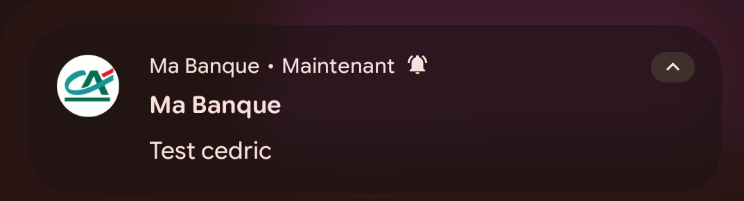 cedcyr's tweet photo. Je pensais que la notif test cedric m'étais destiné et c'était mon conseiller qui troll mais en fait non c'est tout le monde apparemment 😂 https://t.co/0h9znoUVx8