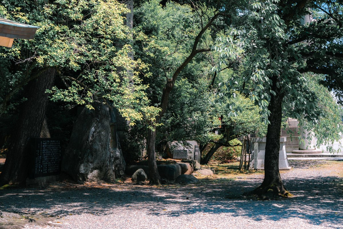 MT_photo1's tweet photo. 公園で見つけた光と影 https://t.co/iqca6IWhel