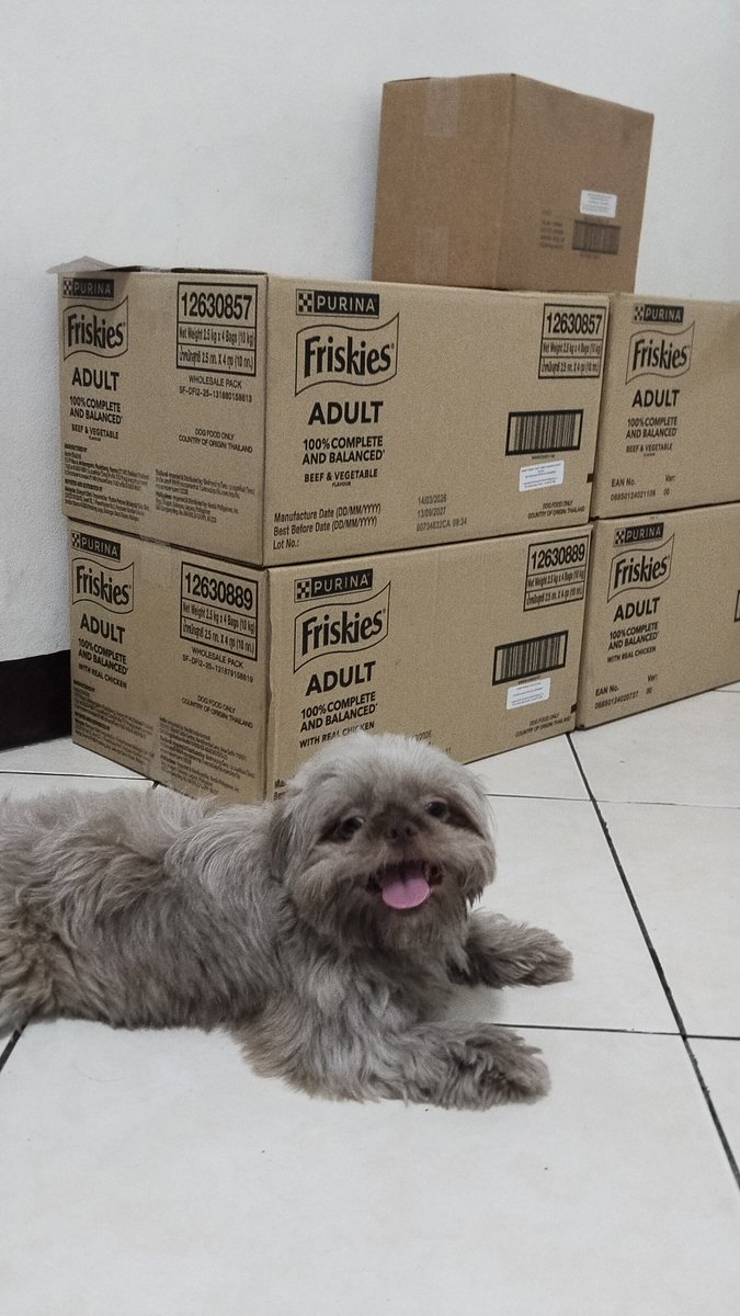 LorigenMejes06's tweet photo. Si tari masaya binabantayan nya food nya haha madami daw syang food from @PurinaFriskies thank you purina friskies try nyo sa mga alaga nyo purina friskies everyday healthy ang alaga nyo 🥰❤
#alagangpurinafriskies
#krystari https://t.co/1fGXwjppRw