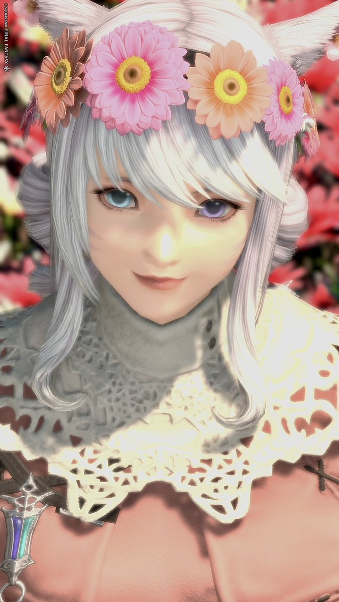 Ff14Sorano's tweet photo. 既出だけど 
#ムンキの日 ときいて🐈

おやすみなさい🌙
#FF14 https://t.co/g683xxgeNM