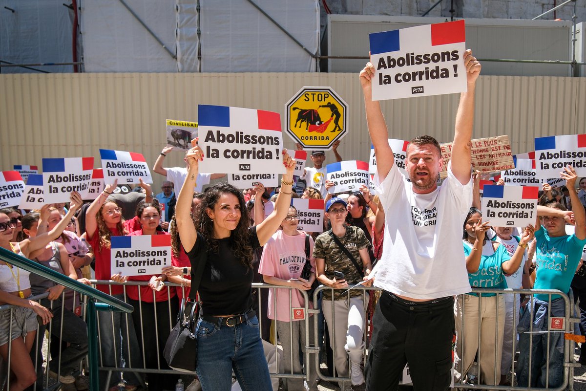 VDB5930's tweet photo. A Nimes, relaxe de Jérémy Star ! mais bon la justice a du temps à perdre, il est vrai qu'il n'y a rien de plus grave qu'un "perturbateur" de corrida avec une pancarte, n'est ce pas... https://t.co/op0pAvjZPq
