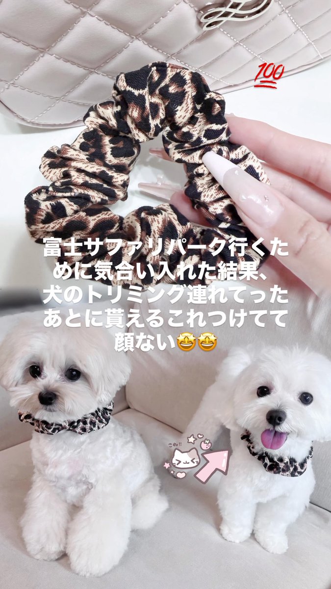 みは♡ tweet media