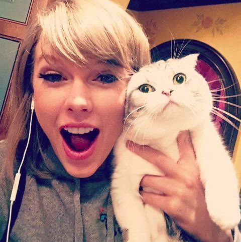 luvmusicats's tweet photo. já falei e repito ☝🏻 MEUS BEBÊS!! 🩷 https://t.co/NOa2mpMWpp