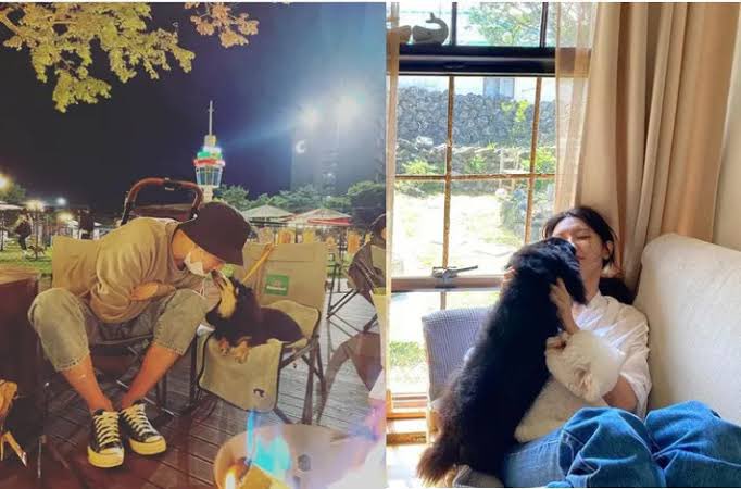 VikkelT's tweet photo. This Jung Kyung-ho and Sooyoung breakup hits different when you remember their families and friends were so deeply intertwined for 14 years. 

They didn’t just break up with each other, they broke up with an entire eco-system:
—-Both are Chung-Ang Uni alumni and met through their *shared church* 
—Kyungho was basically the unofficial 9th member of SNSD (he was just drinking with Hyoyeon on her YT show!)
— Their families (his director dad, her actress sister) were fully blended.
—- They used to go on double dates with #ParkShinhye & #ChoiTaejoon 
—- they literally co-parented a dog named "Ho-young" (Ho + Young). 

Imagine being in their friend group rn..the mutual friends must be sweating trying not to pick sides or make things awkward. 

Who gets invited to the next gathering? How do they avoid awkward run-ins at industry events?  What happens to their dog? Who will change to a different church?

14 years of shared history means the ripple effect through their circle must be huge!

#JungKyungHo #Sooyoung #GirlsGeneration