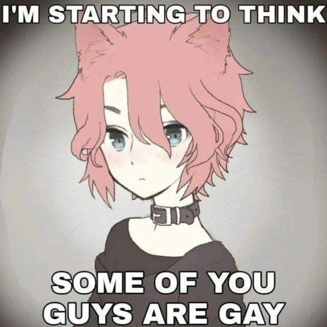 Miako (femboy) tweet media