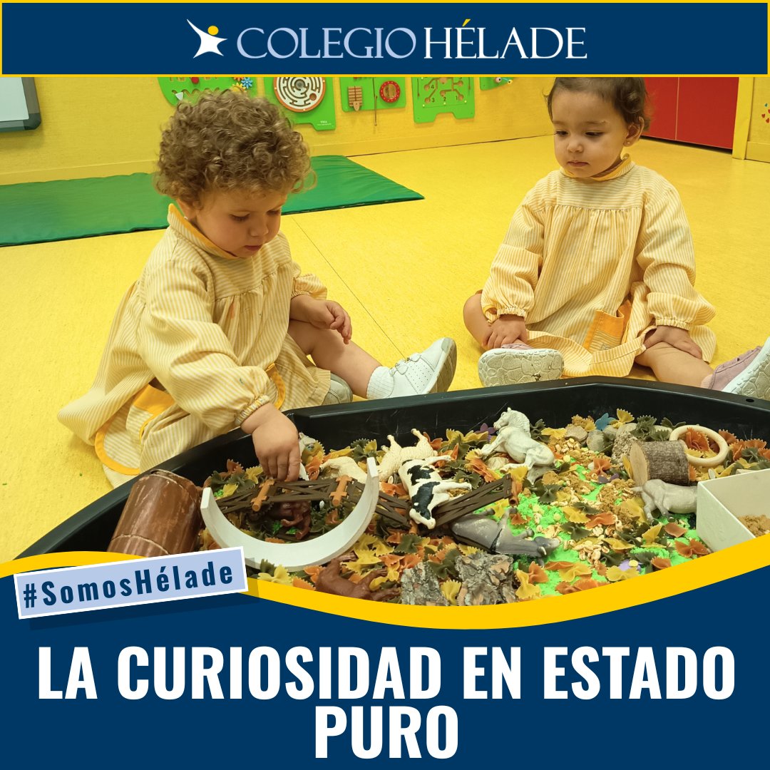 Colegio_Helade's tweet photo. 🐾🌿 Mientras los mayores están de excursión, nuestros alumnos de Infantil siguen descubriendo el mundo a través de la experimentación.

Animales, hábitats y mucha curiosidad para aprender desde la experiencia. 🌍✨

#SomosHélade #Infantil https://t.co/ASStXme20t