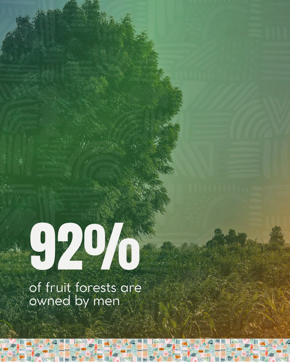 fsssnigeria's tweet photo. Read the full ESTRRA Baseline Study Report on our Knowledge Repository: https://t.co/4qlKvoxz98
#GrowingForward #ESTRRAProject #RegeneratingBauchi #BaselineStudy #KnowledgeRepository https://t.co/My7sX8RcHU