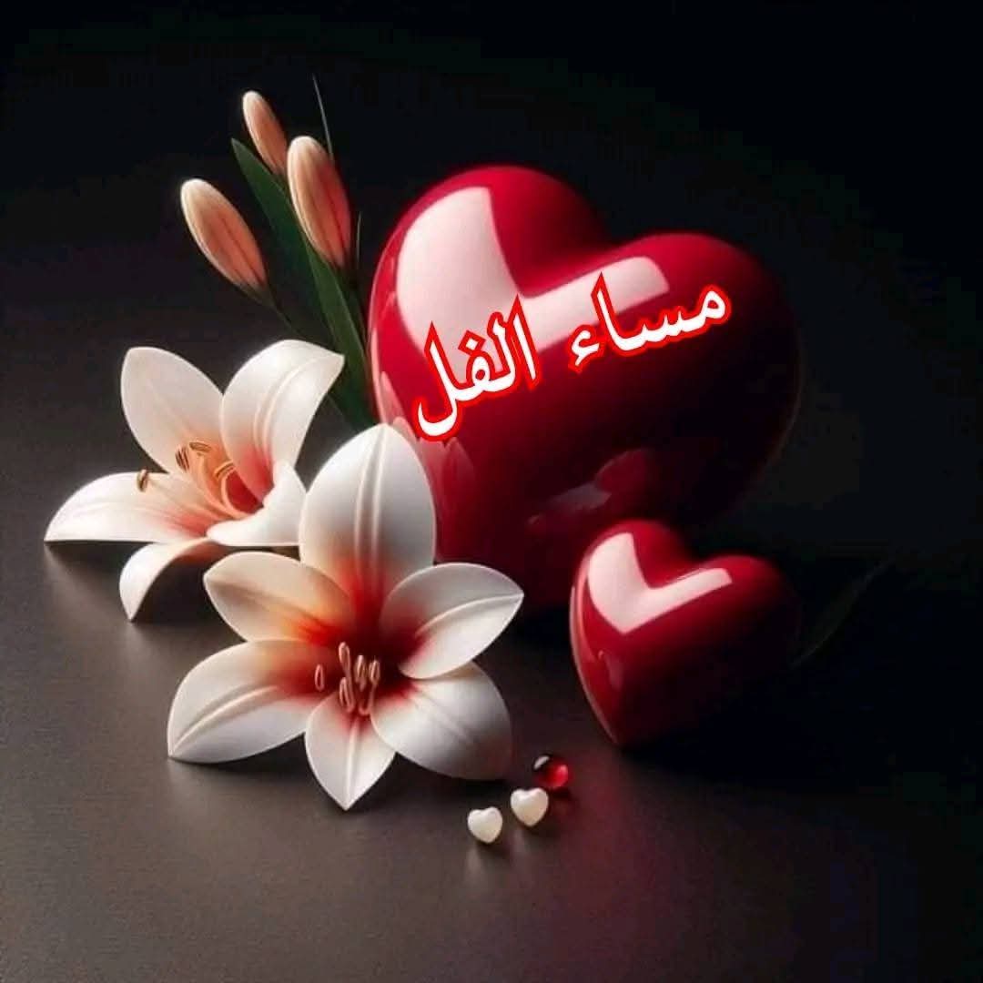 RamdanMoha18331's tweet photo. @0DZe6OMwPLXpiNR https://t.co/OnLS2BMwcR