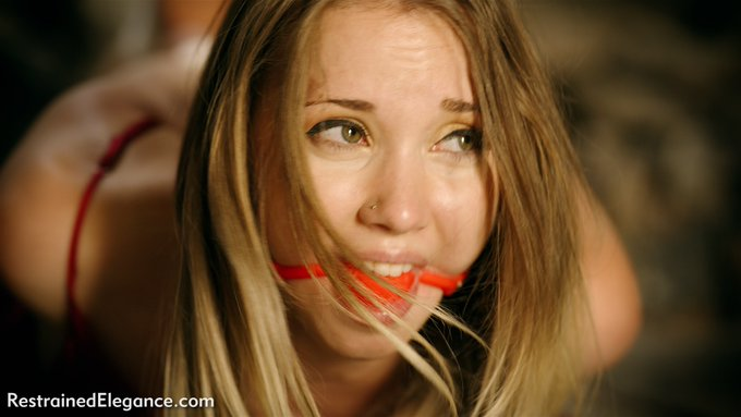 akinkigirl's tweet photo. love how that vibrant gag pops (@RElegance) https://t.co/g1098TevJf