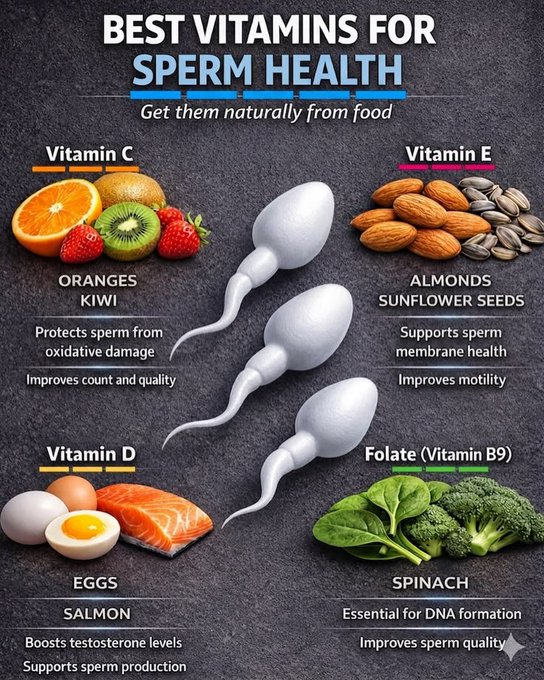 HealthNutri_HQ's tweet photo. Best vitamins for sperm health https://t.co/FpV9qz1wtG