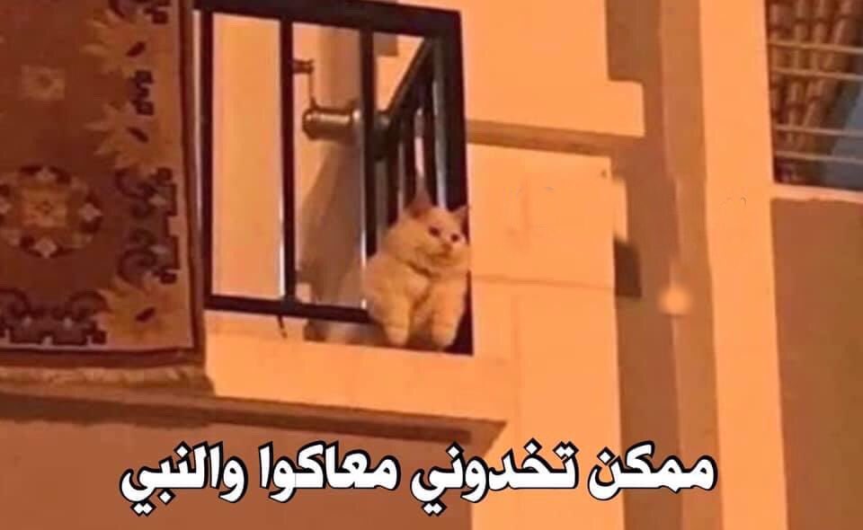 adlanzaim's tweet photo. @lloozzaa39 @M_M_E_D https://t.co/Nkd5yOgeyC