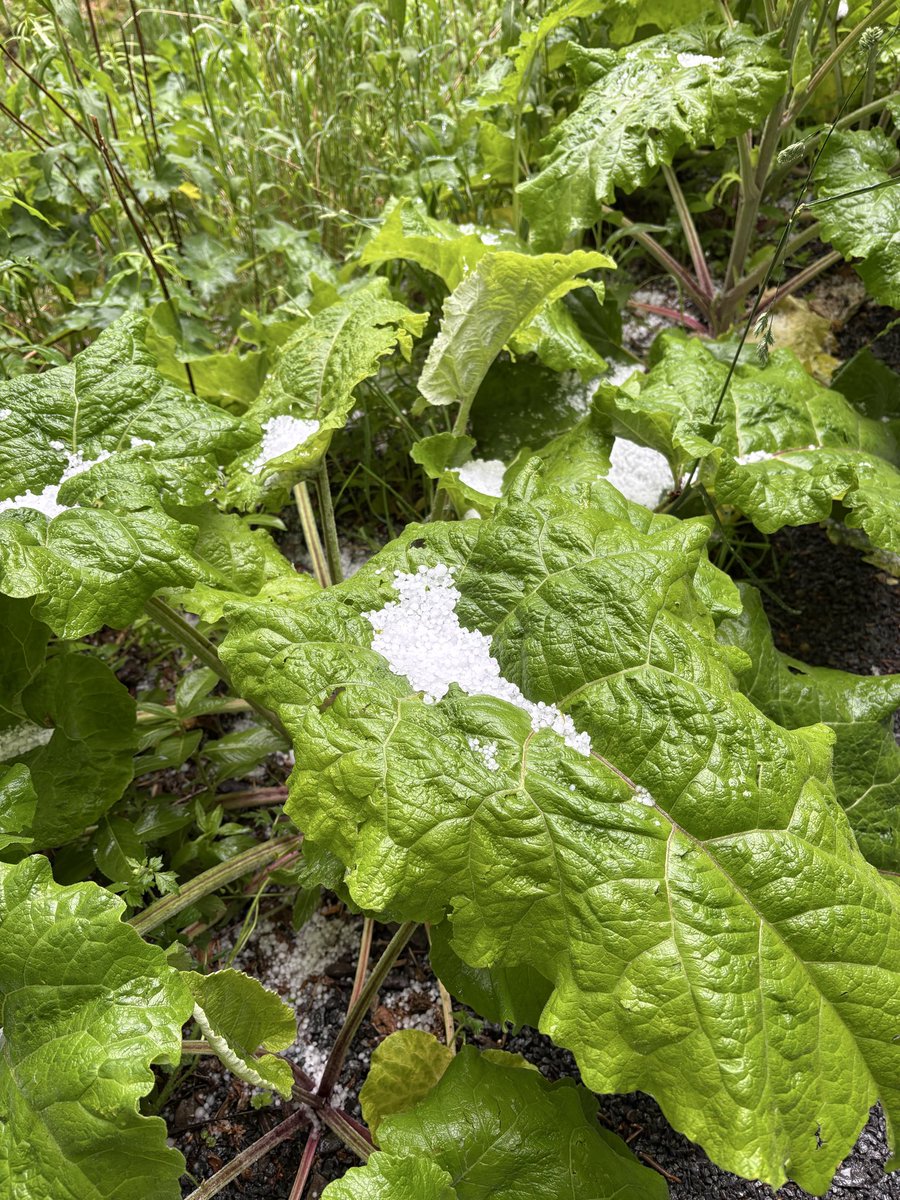 wilko1999's tweet photo. A nice day out in June for hubby’s 60th, imagined a nice pub garden lunch, got #HailStones instead. #HighForce #Teesdale https://t.co/XFBWsglt2x