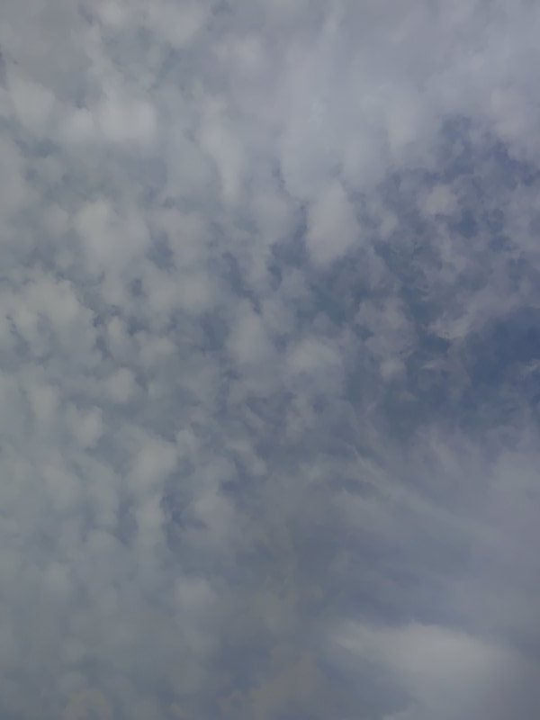 slam52's tweet photo. こちらも今日の空の景色を撮影した写真です。綺麗な鱗雲が出来ている雰囲気を感じさせました。 https://t.co/xcfgBUGB1P