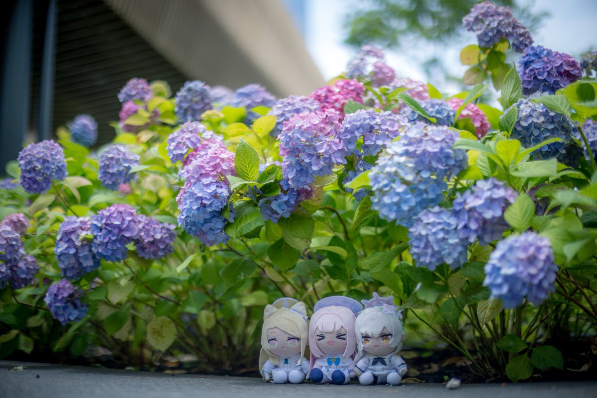 Nissy_Sensei's tweet photo. 紫陽花の傘
#ブルアカぬいぬい部 https://t.co/RMmatK0VUR