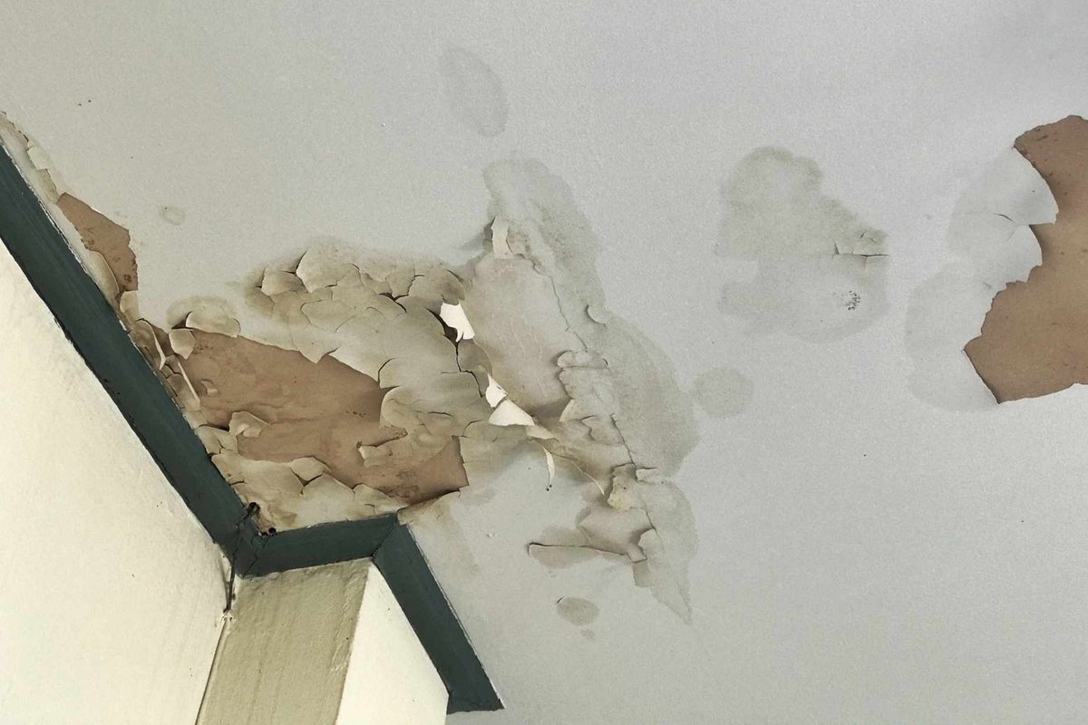 NursingTimes's tweet photo. Exposure to damp and mould increases children’s risk of respiratory illness https://t.co/prLNz8n1rc https://t.co/BU9vaBg8km