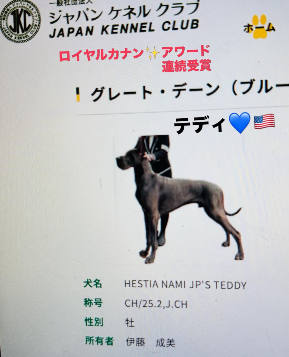 narimi_ito's tweet photo. きょう
『ロイヤルカナン』さん〜アワード受賞の
プレートが届きました！
一昨年、去年と連続受賞です‼︎
テディ💙🇺🇸おめでとう㊗️🎊🥩
#ロイヤルカナンアワード受賞#teddy https://t.co/xkSG69JONI