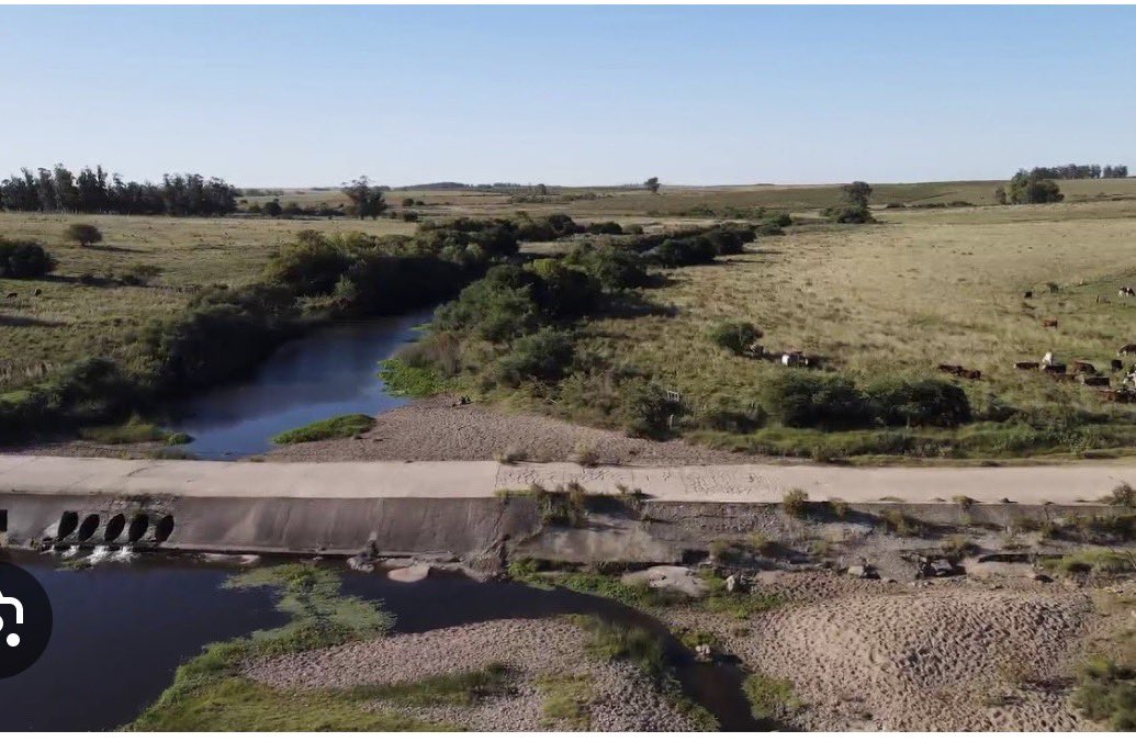 AlexandraInza's tweet photo. Hice  dos pedidos de informes sobre el proyecto REPRESA DE CASUPÁ , uno al MGAP y otro a Ambiente
Las mismas preguntas.
Distintas respuestas!!
Se acuerdan de desafío que venía en las revistas: “Encuentra las diferencias “???
Sigue 🧵 👇 https://t.co/VDlx2UZhlL