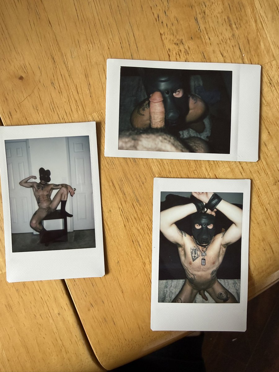 sam__savory's tweet photo. Puppy Polaroids for Pride! 1 for $15, 2 for $25, 

Dm me for yours 🐾

🍆 donated by @PupFuze https://t.co/ZG66ECDSYo