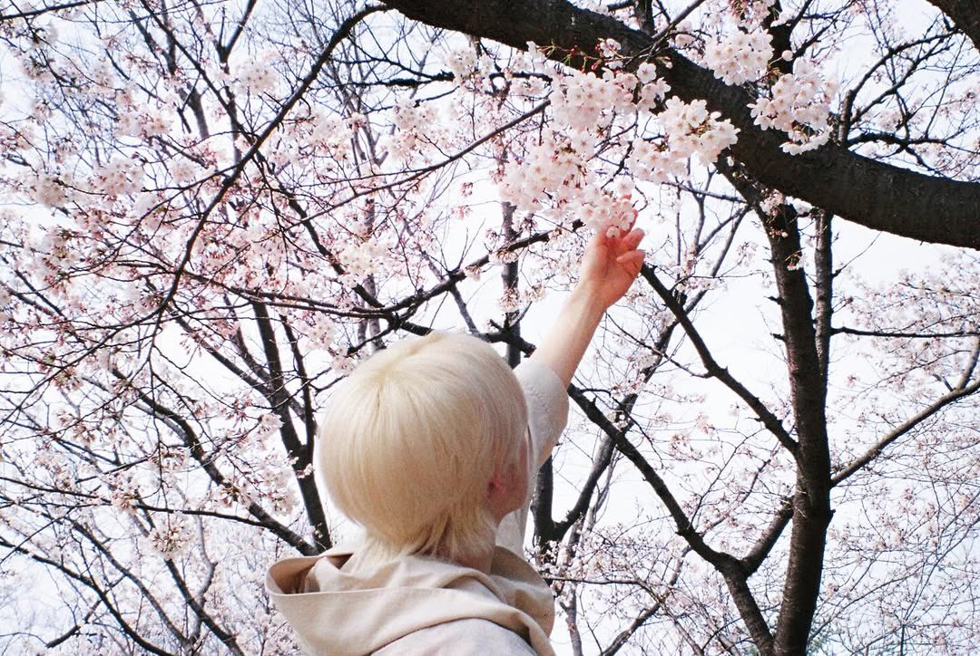 wishcakuya's tweet photo. (๑>؂•̀๑) https://t.co/CkVjVCLMUu