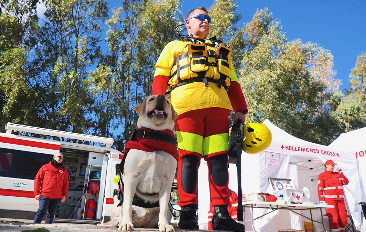 BirgitteEbbesen's tweet photo. Meet Hera - the only rescue dog in Greece trained for water rescue 🐕‍🦺
She works with @greekredcross lifeguard volunteers. On land, at sea - same dedication.🙏🙏 https://t.co/BtkqSttJDf