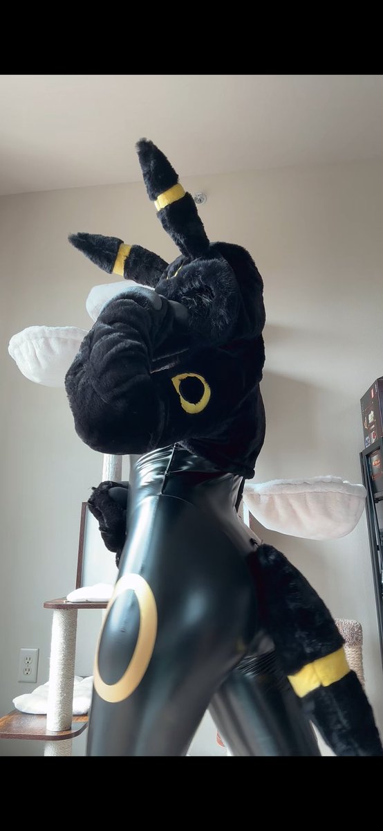 RavenTwilight03's tweet photo. Who’s that Pokémon 🤭🐾 https://t.co/XqkonrbYv6