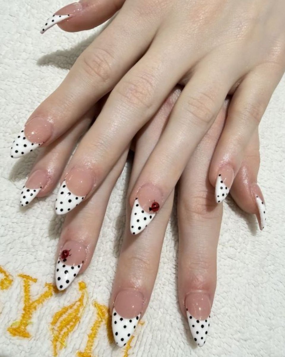 miyanailsnspa2's tweet photo. Looking for a place that blends beauty and comfort? Our nail salon offers just that with every visit. We're dedicated to quality service and stunning results. Book with us for your next pampering session. #NailSalon
https://t.co/lsn5wvDnOy https://t.co/O694u3nbzY