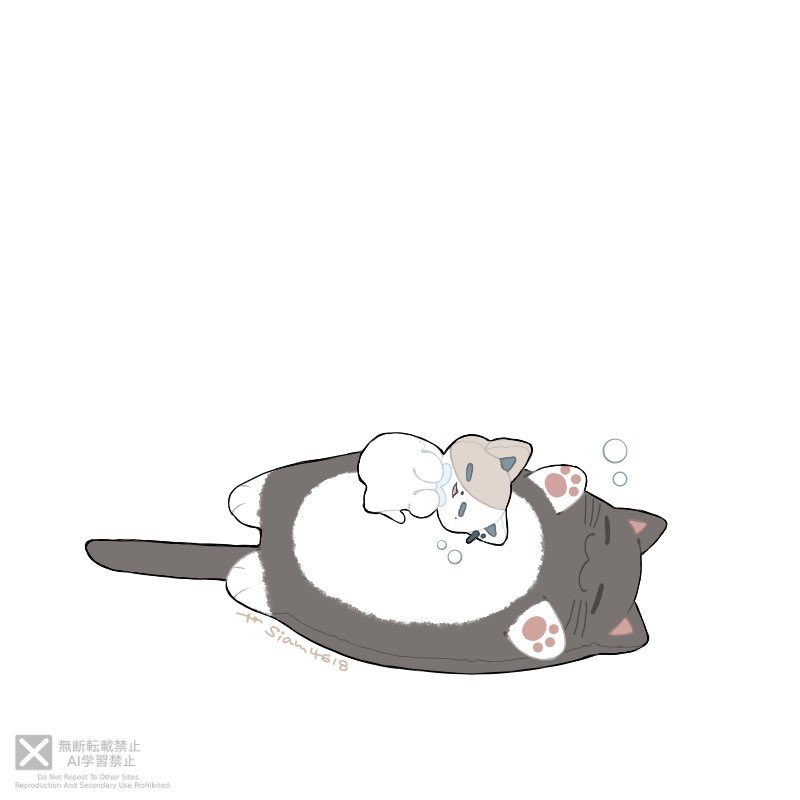 siam4618's tweet photo. ロトの日🐾 https://t.co/AeSn5noTJF