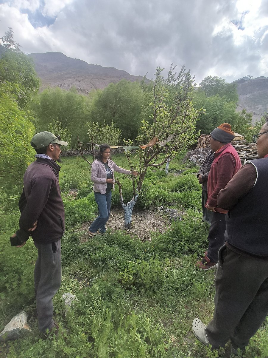 KvkTabo's tweet photo. ☘️Khet Bachao Abhiyan at Spiti Valley☘️ @atari1icar @icarindia @AgriGoI @narendramod @mygovindia @DDKisanChannel @airnewsalerts #ICAR #KhetBachoAbhiyan #nauniuniversity @nauniuniversity #खेत_बचाओ_अभियान https://t.co/FTQsAH4XAi