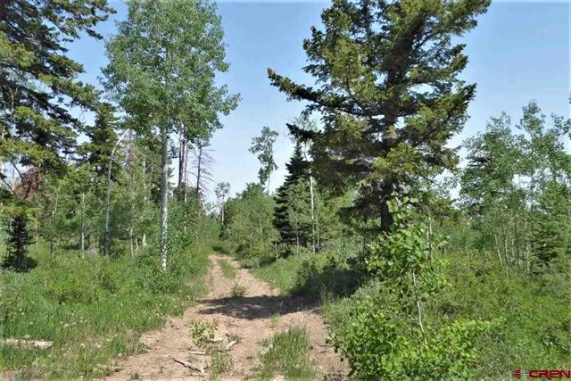 todd_realty's tweet photo. I love this 390 ac parcel west of Montrose-great outdoor activities-excellent hunting--snowmobiling-dirt biking.
It's priced at 5k per ac--let me check it out for you!
Click Here to View Listings https://t.co/s7xUCDlw5z