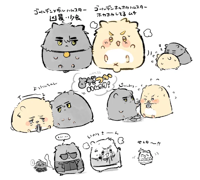 よだつかハムスタ!
※擬ハム化注意🐹 