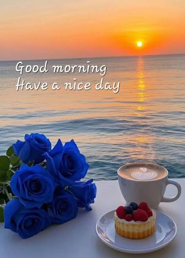 PBBoxIsHere's tweet photo. @baddad128 https://t.co/rC6upmabIu