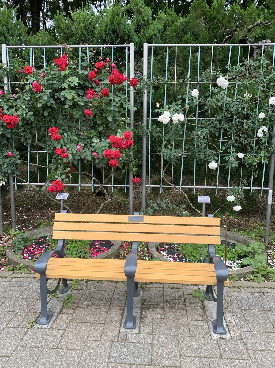 ciarabrown123's tweet photo. 仕事から帰ってヘロヘロな時に、息子が約束守らない事が多発しブチ切れ→疲れて何もしたくない https://t.co/DZg6jDM2kw