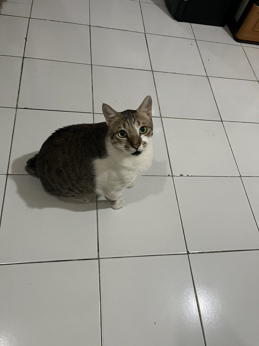 umadudut's tweet photo. KAGET BANGET ADA YANG BILANG CAKEP🥺

karena selama ini uma dibilang ndud mulu😔💔😔💔😔💔 https://t.co/rTmXFtn4Ur