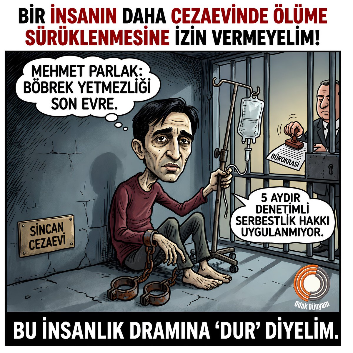 kitmir_yeni111 tweet picture