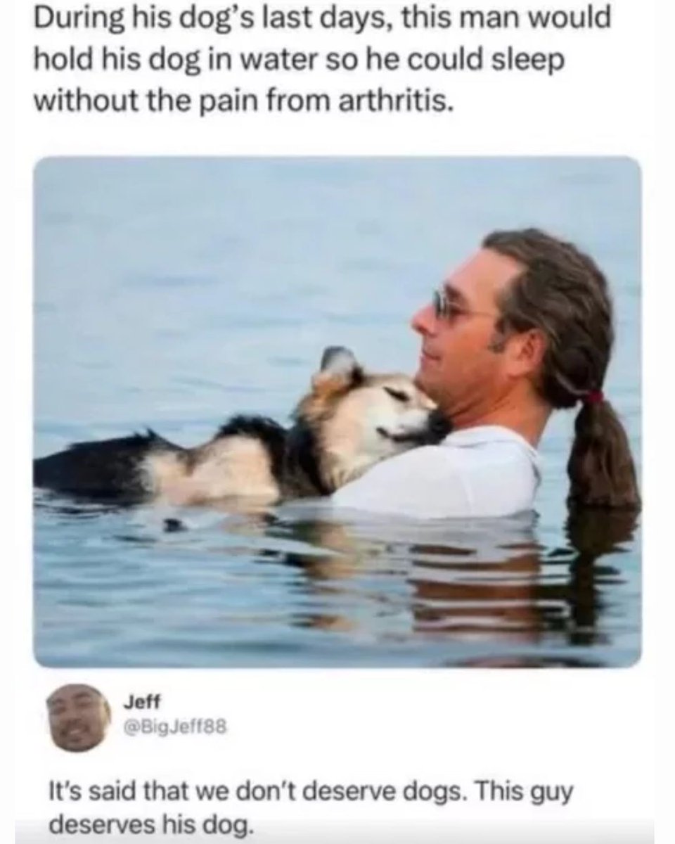 Memedroid's tweet photo. pure love
#dog #memes #pets #love #funny https://t.co/LCtewGaI08