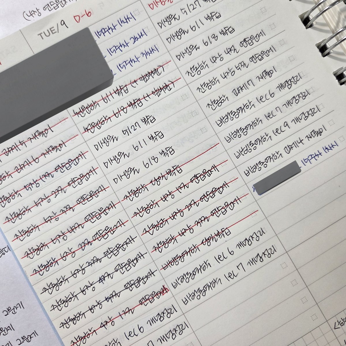 란 𝓡𝓪𝓷 tweet media